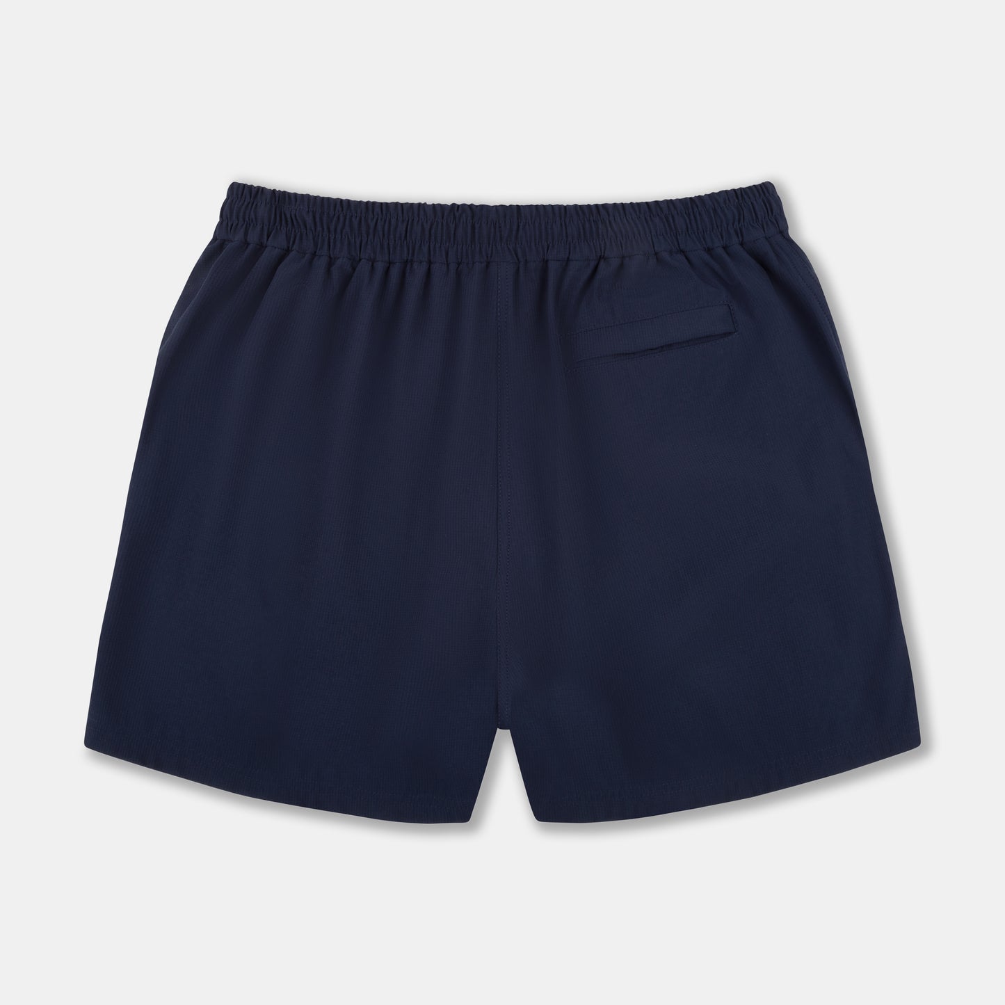 AT-S01-NVY